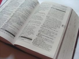 slovník španělsko-český a česko španělský